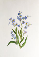 Load image into Gallery viewer, Original Art - Forget-me-not
