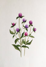 Load image into Gallery viewer, Original Art - Gomphrena
