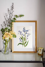 Load image into Gallery viewer, Original Art - Forget-me-not
