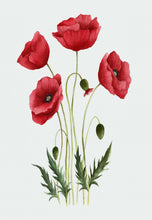 Load image into Gallery viewer, Original Art - Poppies
